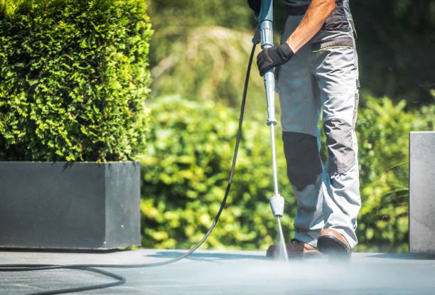 Pre-Holiday Cleaning in Penngrove, CA